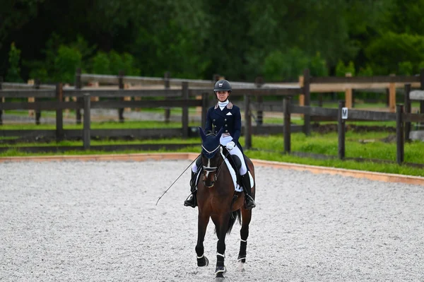 Kharkiv, Ukrayna - 4 Haziran 2021: Fei Dressage Dünya Kupası Kharkiv 2021