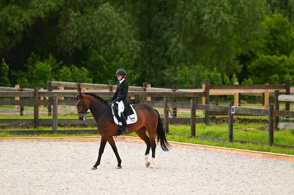 Kharkiv, Ukrayna - 4 Haziran 2021: Fei Dressage Dünya Kupası Kharkiv 2021