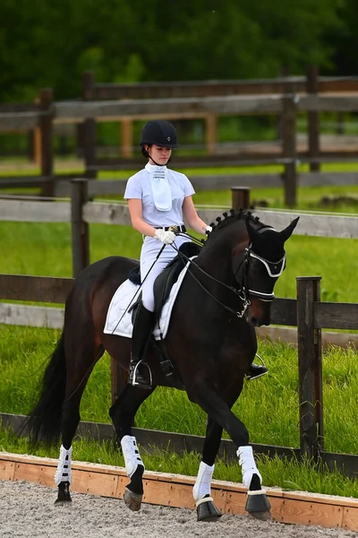 Kharkiv Ukraine June 2021 Equestrian Fei Dressage World Cup Kharkiv — Stock Photo, Image