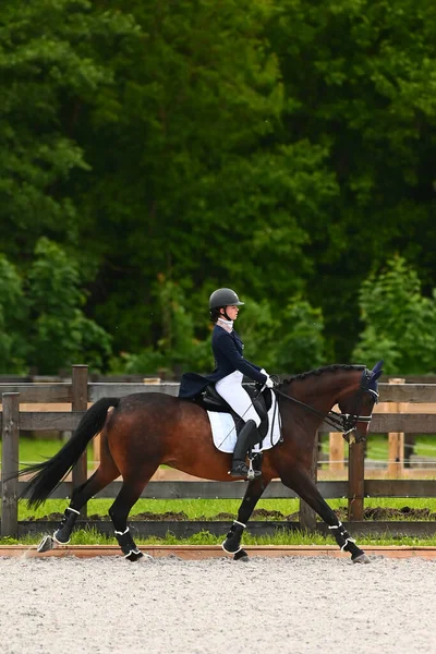 Kharkiv, Ukrayna - 4 Haziran 2021: Fei Dressage Dünya Kupası Kharkiv 2021