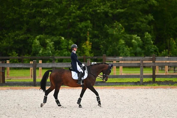 Kharkiv, Ukrayna - 4 Haziran 2021: Fei Dressage Dünya Kupası Kharkiv 2021