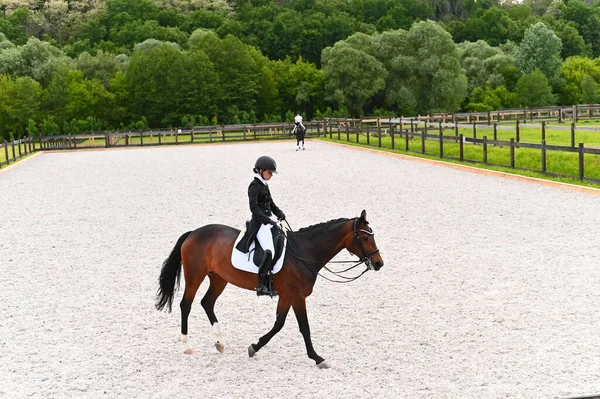 Kharkiv Ucrânia Junho 2021 Copa Mundo Equestre Adestramento Fei Kharkiv — Fotografia de Stock