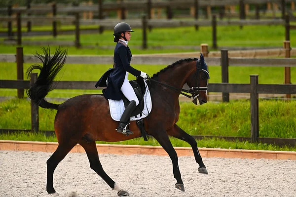 Kharkiv, Ukrayna - 4 Haziran 2021: Fei Dressage Dünya Kupası Kharkiv 2021