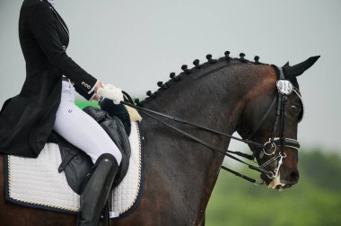 Kharkiv, Ukrayna - 5 Haziran 2021: FEI Dressage Dünya Kupası Kharkiv 2021