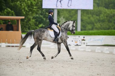 Kharkiv, Ukrayna - 5 Haziran 2021: FEI Dressage Dünya Kupası Kharkiv 2021
