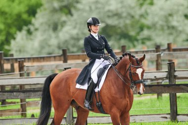 Kharkiv, Ukrayna - 5 Haziran 2021: FEI Dressage Dünya Kupası Kharkiv 2021