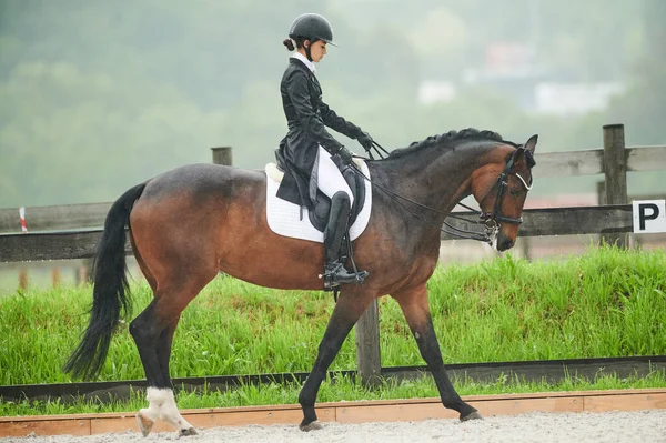 Kharkiv Ucrânia Junho 2021 Copa Mundo Equestre Adestramento Fei Kharkiv — Fotografia de Stock