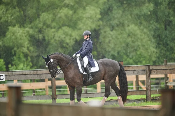 Kharkiv Ucrânia Junho 2021 Copa Mundo Equestre Adestramento Fei Kharkiv — Fotografia de Stock