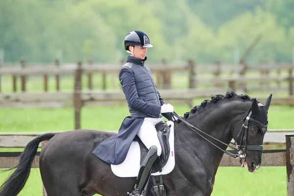 Kharkiv Ucrânia Junho 2021 Copa Mundo Equestre Adestramento Fei Kharkiv — Fotografia de Stock