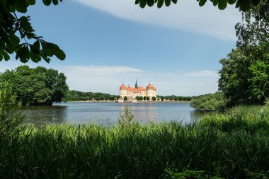 Moritzburg, Almanya - 21 Haziran 2021: Moritzburg Kalesi ve Dresden yakınlarındaki Kale göleti
