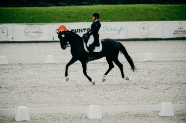 Kharkiv, Ukrayna - 11 Haziran 2021: Fei Dressage Dünya Kupası Kharkiv 2021