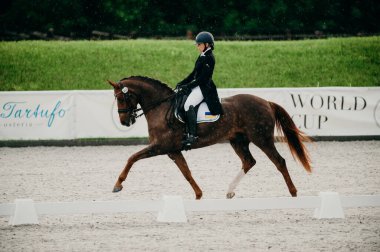 Kharkiv, Ukrayna - 11 Haziran 2021: Fei Dressage Dünya Kupası Kharkiv 2021