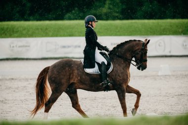 Kharkiv, Ukrayna - 11 Haziran 2021: Fei Dressage Dünya Kupası Kharkiv 2021