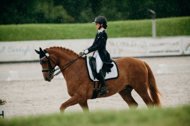 Kharkiv, Ukrayna - 11 Haziran 2021: Fei Dressage Dünya Kupası Kharkiv 2021