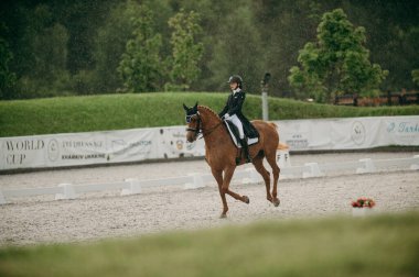 Kharkiv, Ukrayna - 11 Haziran 2021: Fei Dressage Dünya Kupası Kharkiv 2021