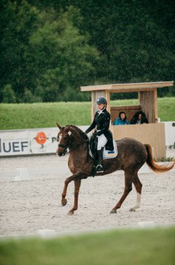 Kharkiv, Ukrayna - 11 Haziran 2021: Fei Dressage Dünya Kupası Kharkiv 2021
