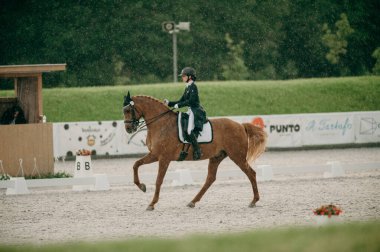 Kharkiv, Ukrayna - 11 Haziran 2021: Fei Dressage Dünya Kupası Kharkiv 2021