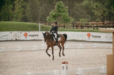 Kharkiv, Ukrayna - 11 Haziran 2021: Fei Dressage Dünya Kupası Kharkiv 2021