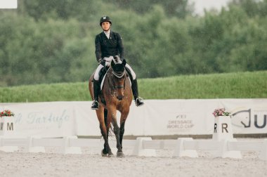 Kharkiv, Ukrayna - 11 Haziran 2021: Fei Dressage Dünya Kupası Kharkiv 2021