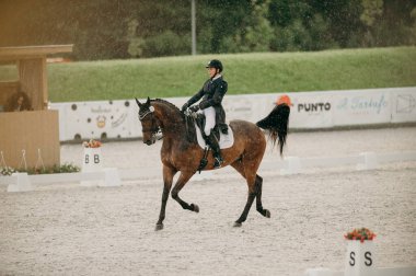 Kharkiv, Ukrayna - 11 Haziran 2021: Fei Dressage Dünya Kupası Kharkiv 2021