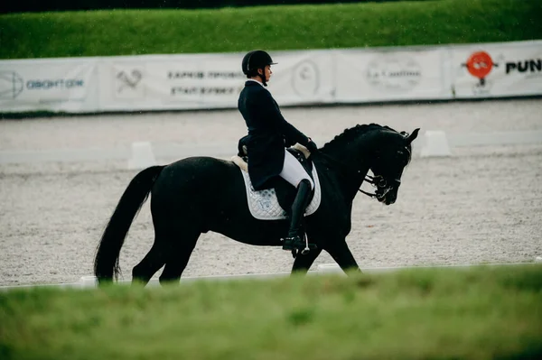 Kharkiv, Ukrayna - 11 Haziran 2021: Fei Dressage Dünya Kupası Kharkiv 2021