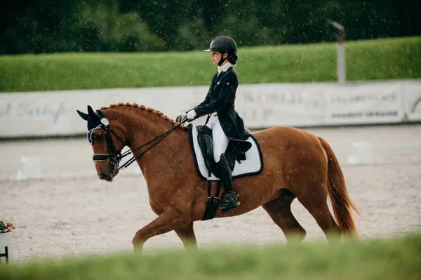 Kharkiv, Ukrayna - 11 Haziran 2021: Fei Dressage Dünya Kupası Kharkiv 2021