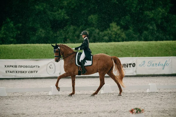 Kharkiv Ukraine June 2021 Equestrian Fei Dressage World Cup Kharkiv — Stock Photo, Image