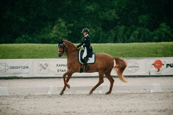 Kharkiv Ukraine June 2021 Equestrian Fei Dressage World Cup Kharkiv — Stock Photo, Image