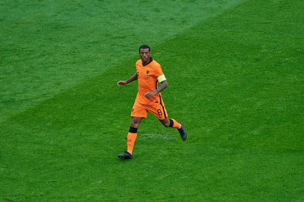 AMSTERDAM, NETHERLANDS - 17 Haziran 2021: Georginio Wijnaldum (8). EURO 2020. Hollanda ile Avusturya arasındaki futbol maçı