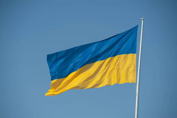 Харьков Украина Августа 2021 Года День Флага Украинский Желтый Синий — стоковое фото