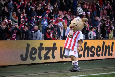 COLOGNE, GERMANY - 16 EKİM, 2025: Maskot Keçi - 1.FC Koeln Frauen-Bayer 04 Frauen-FRANZ-KREMER STADION