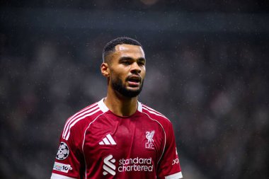 FRANKFURT, GERMANY - 22 Ekim 2025: Cody Gakpo - UEFA Şampiyonlar Ligi, Deutsche Park 'ta SG Eintracht Frankfurt-Liverpool FC maçı.