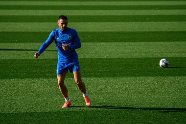 LEVERKUSEN, GERMANY - 4 Kasım 2025: Aleix Garcia - UEFA Şampiyonlar Ligi, MD-1, Bayer 04 Bayarena 'da.