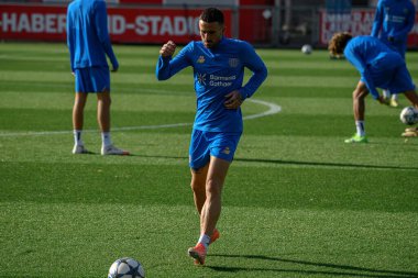 LEVERKUSEN, GERMANY - 4 Kasım 2025: Aleix Garcia - UEFA Şampiyonlar Ligi, MD-1, Bayer 04 Bayarena 'da.