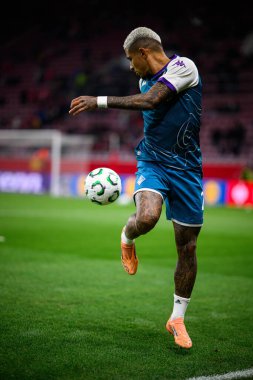 MAINZ, GERMANY - 6 Kasım 2025: Dodo - UEFA Konferans Ligi 1 'in futbol maçı. FSV Mainz 05, Mewa Arena 'da ACF Fiorentina' ya karşı.