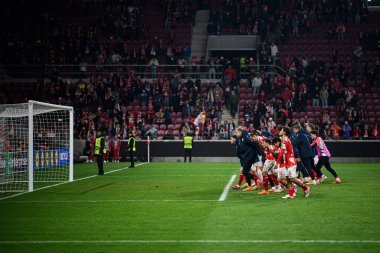 Mainz, Almanya - 6 Kasım 2025 UEFA Konferans Ligi 1 'in futbol maçı. FSV Mainz 05, Mewa Arena 'da ACF Fiorentina' ya karşı.