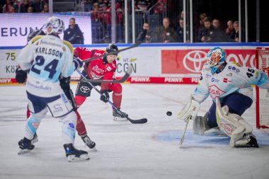 COLOGNE, ALMANY - 16 Kasım 2025: - IceHockey DeL maçı Koelner Haie - Lanxess Arena 'da Dresden Leowen