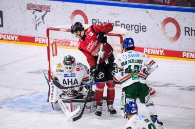 COLOGNE, GERMANY - 21 Kasım 2025 - Hokey maçı DeL Koelner Haie - Lanxess Arena 'da Augrsburger Panter.