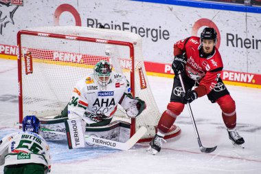 COLOGNE, Almanya - 21 Kasım 2025: Louis-Marc Aubry - Hokey maçı DeL Koelner Haie - Lanxess Arena 'da Augrsburger Panter.