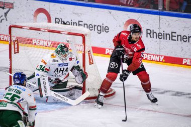 COLOGNE, Almanya - 21 Kasım 2025: Louis-Marc Aubry - Hokey maçı DeL Koelner Haie - Lanxess Arena 'da Augrsburger Panter.