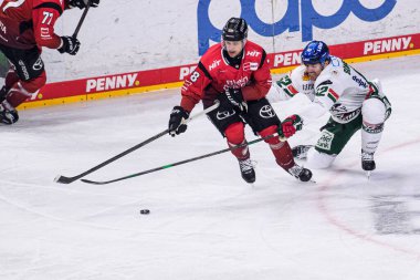 COLOGNE, GERMANY - 21 Kasım 2025: Dominik Bokk - Hokey maçı DEL Koelner Haie - Lanxess Arena 'da Augrsburger Panter.