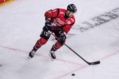 COLOGNE, GERMANY - 21 Kasım 2025 - Hokey maçı DeL Koelner Haie - Lanxess Arena 'da Augrsburger Panter.