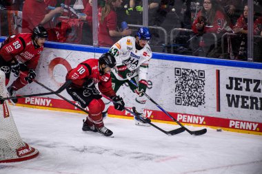COLOGNE, GERMANY - 21 Kasım 2025 - Hokey maçı DeL Koelner Haie - Lanxess Arena 'da Augrsburger Panter.