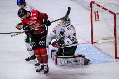 COLOGNE, GERMANY - 21 Kasım 2025: Michael Garteig - Hokey maçı DEL Koelner Haie - Lanxess Arena 'da Augrsburger Panter.