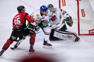 COLOGNE, GERMANY - 21 Kasım 2025: Michael Garteig - Hokey maçı DEL Koelner Haie - Lanxess Arena 'da Augrsburger Panter.