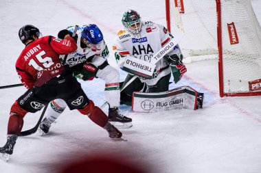 COLOGNE, GERMANY - 21 Kasım 2025: Michael Garteig - Hokey maçı DEL Koelner Haie - Lanxess Arena 'da Augrsburger Panter.