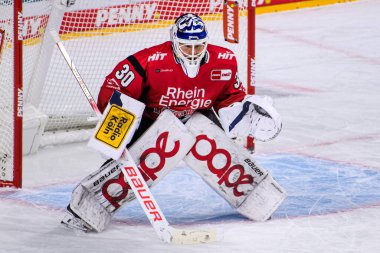 COLOGNE, Almanya - 21 Kasım 2025 Janne Juvonen - Hokey maçı DeL Koelner Haie - Lanxess Arena 'da Augrsburger Panter.