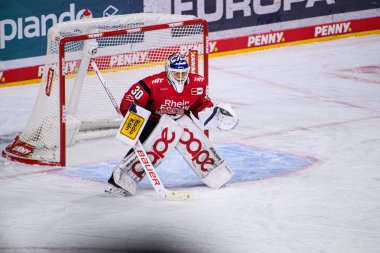 COLOGNE, GERMANY - 21 Kasım 2025 - Hokey maçı DeL Koelner Haie - Lanxess Arena 'da Augrsburger Panter.