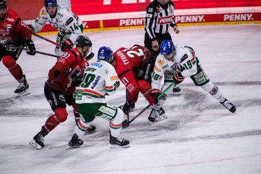 COLOGNE, GERMANY - 21 Kasım 2025 - Hokey maçı DeL Koelner Haie - Lanxess Arena 'da Augrsburger Panter.