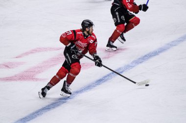 COLOGNE, GERMANY - 21 Kasım 2025 - Hokey maçı DeL Koelner Haie - Lanxess Arena 'da Augrsburger Panter.